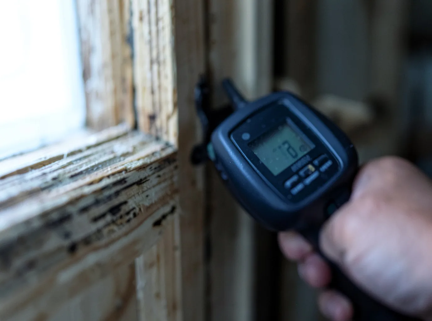 Moisture Inspection And Documentation in Farwell, MN